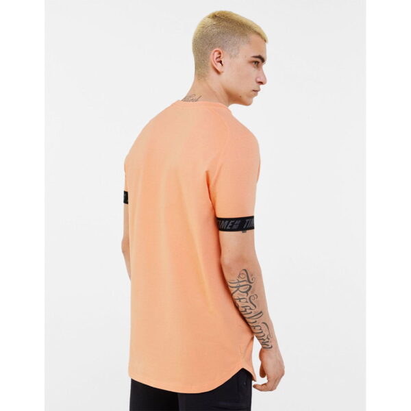 خرید تی شرت مردانه برشکا کد 81973 | فروشگاه اینترنتی بانی استایل