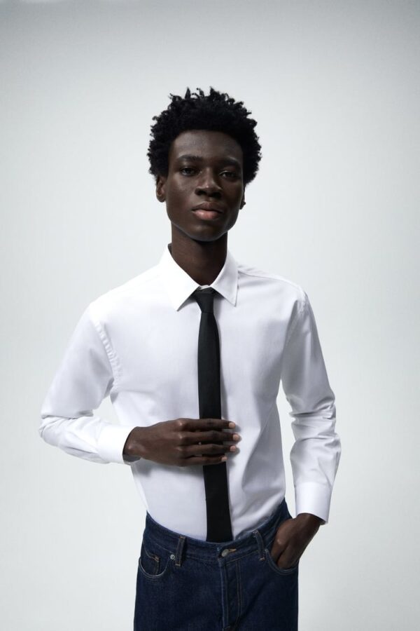 خرید کراوات ابریشمی مردانه زارا کد 248775 | بانی استایل